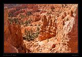 Bryce Canyon 07